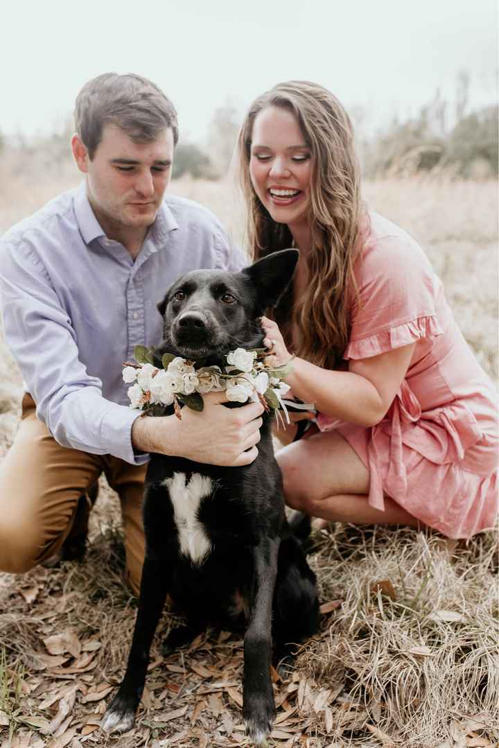 Engagement pics with our pup!!! - 1