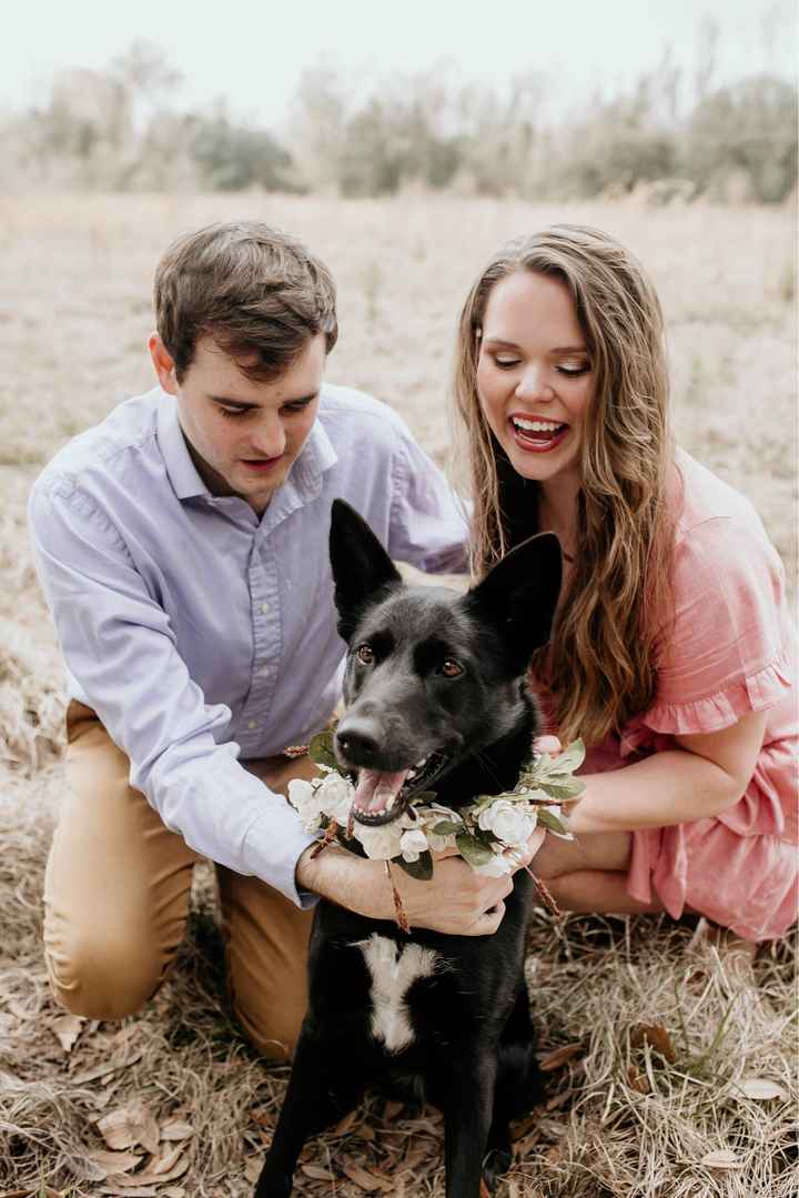 Engagement pics with our pup!!! - 3