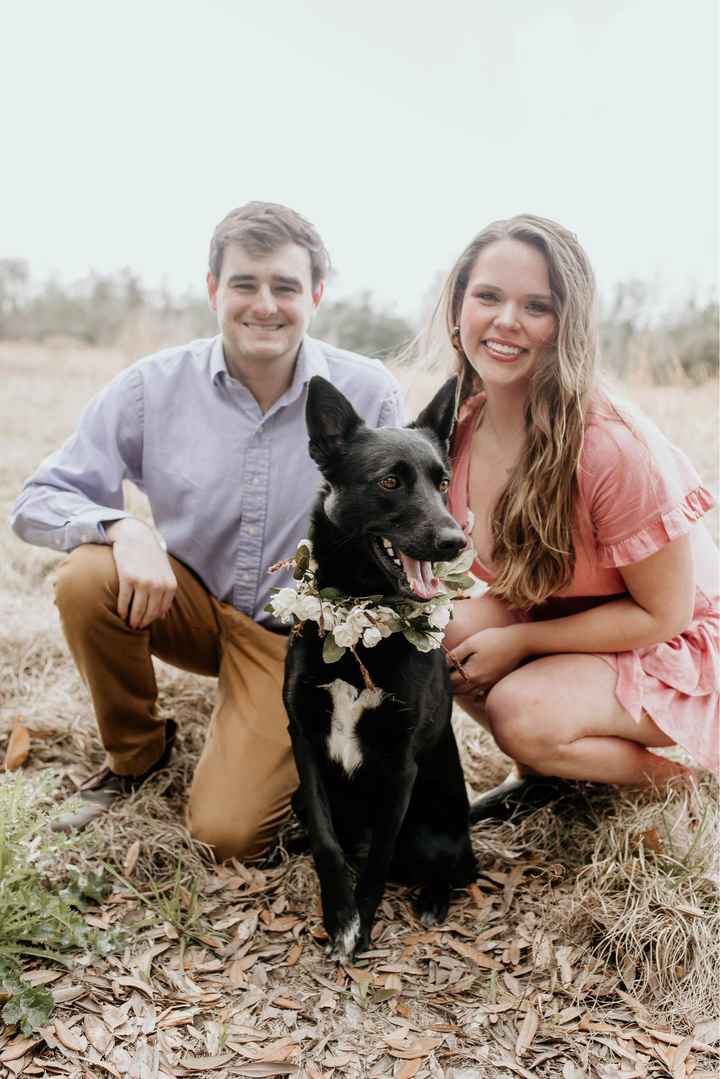 Engagement pics with our pup!!! - 5
