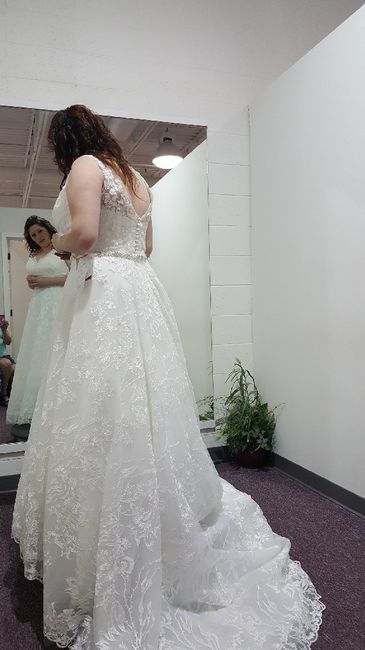 My dress came in! 2