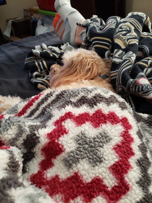 Show me your fur babies you and your SO have together! 9