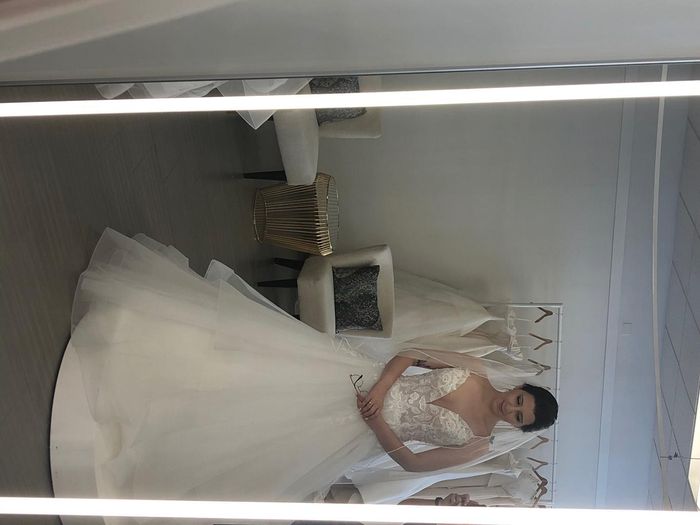 Help! i chose to add sparkle tulle to my dress, but now I’m not sure sure! - 1
