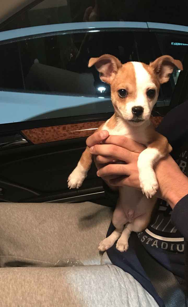 NWR: How could you even consider it?