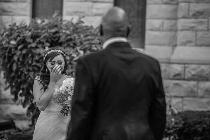 Pro BAM (word and pic heavy)