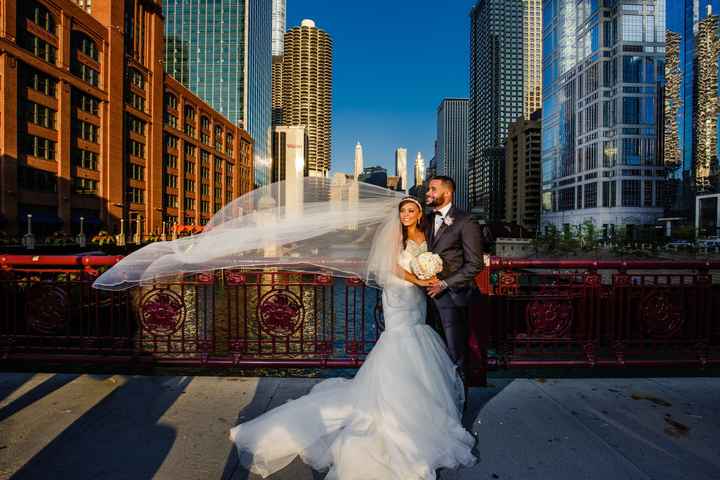 Pro BAM (word and pic heavy)