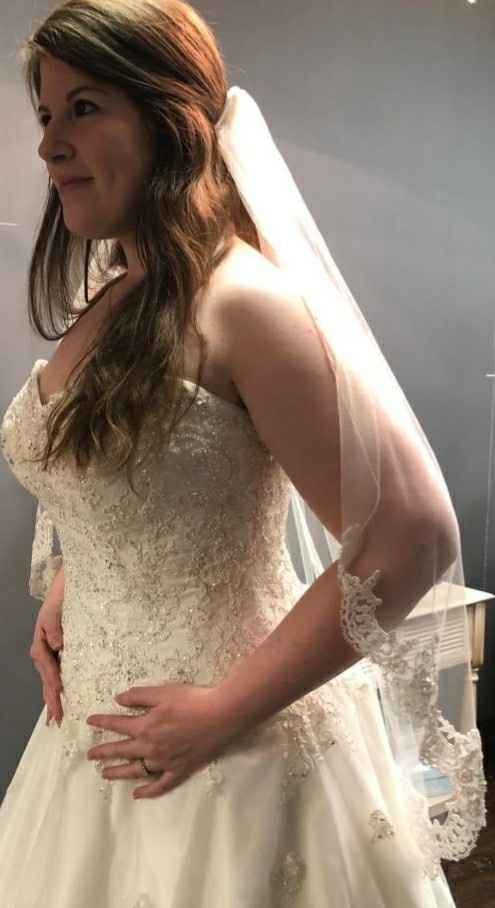 Can't decide on a veil! Need help! Pic heavy! - 2