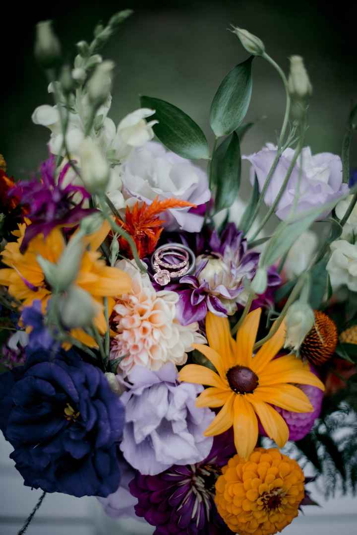 In Our Backyard - 08.01.2020 - 5