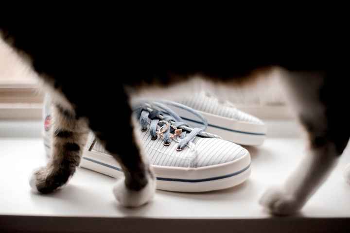 In Our Backyard - 08.01.2020 - 16