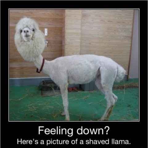 Ughhhh - Just one of those days!