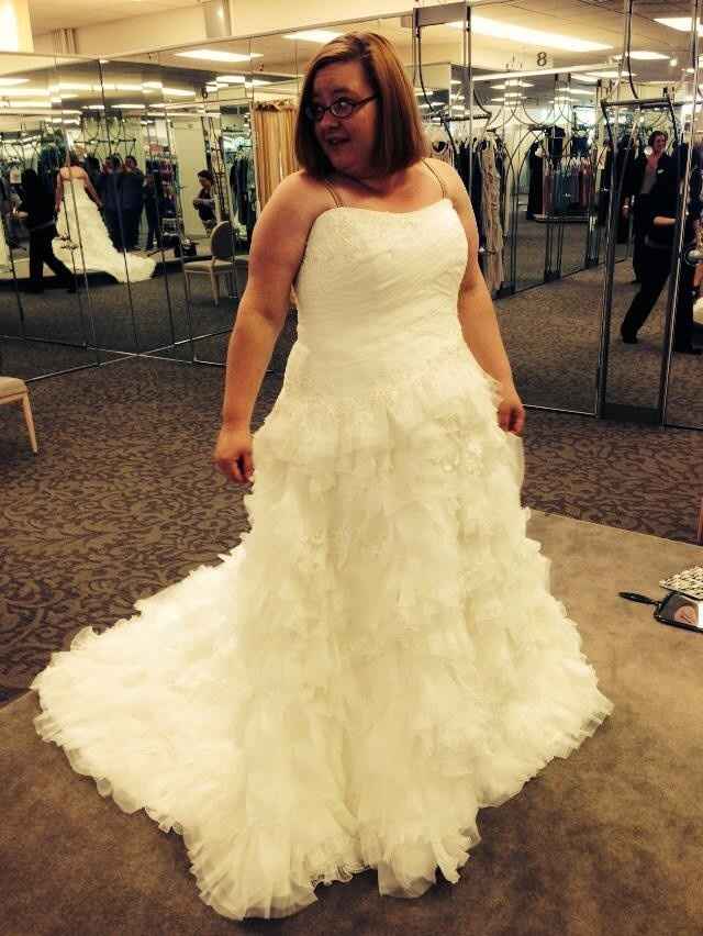 I found my gown!!!! (Added more pics)