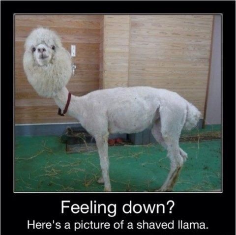Ughhhh - Just one of those days!