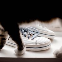 In Our Backyard - 08.01.2020 - 16