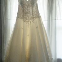 Finally! My own Bam!! 10-10-20. (very Pic heavy!) - 1