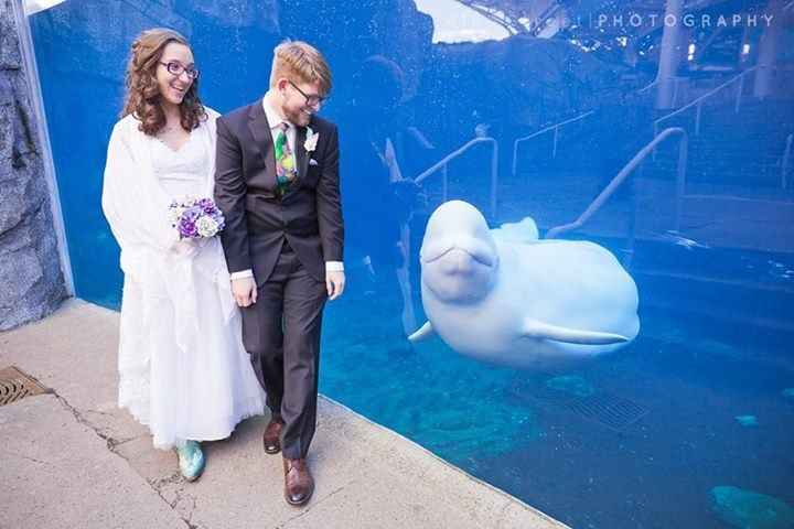 Mystic Aquarium BAM!!!! (pro & non pro!!!)