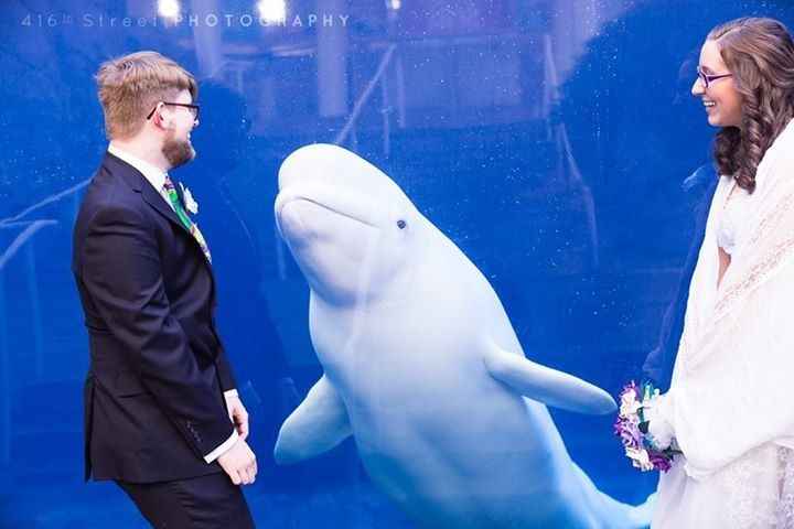 Mystic Aquarium BAM!!!! (pro & non pro!!!)