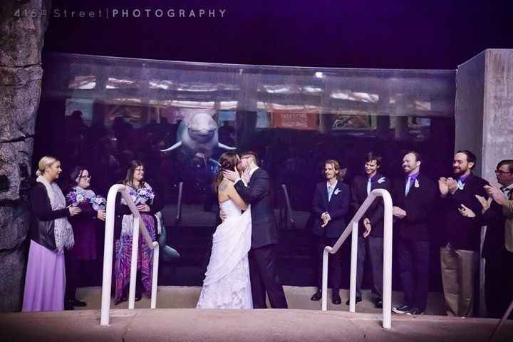 Mystic Aquarium BAM!!!! (pro & non pro!!!)