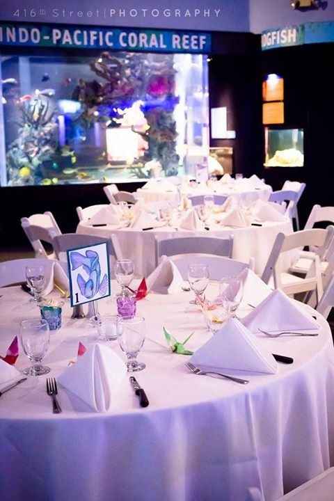 Mystic Aquarium BAM!!!! (pro & non pro!!!)