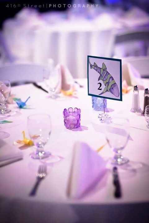 Mystic Aquarium BAM!!!! (pro & non pro!!!)