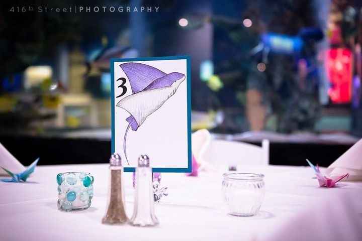 Mystic Aquarium BAM!!!! (pro & non pro!!!)