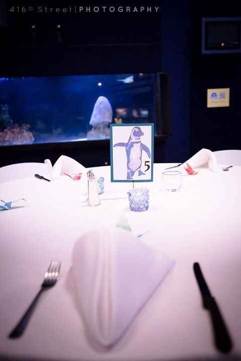 Mystic Aquarium BAM!!!! (pro & non pro!!!)