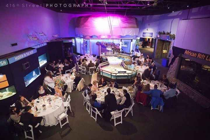 Mystic Aquarium BAM!!!! (pro & non pro!!!)