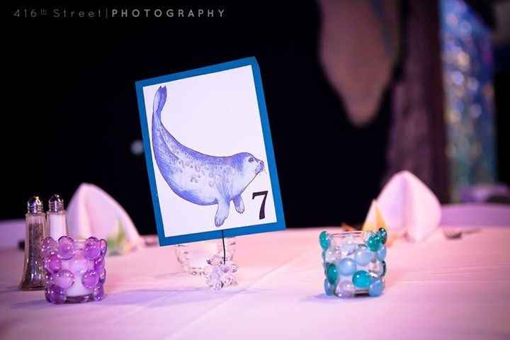 Mystic Aquarium BAM!!!! (pro & non pro!!!)