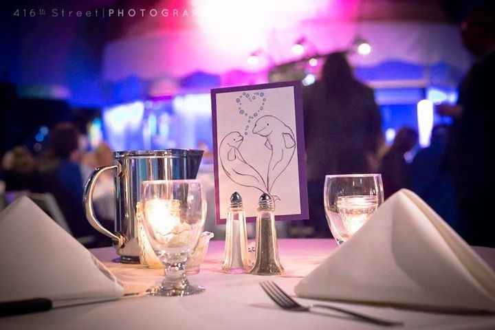 Mystic Aquarium BAM!!!! (pro & non pro!!!)