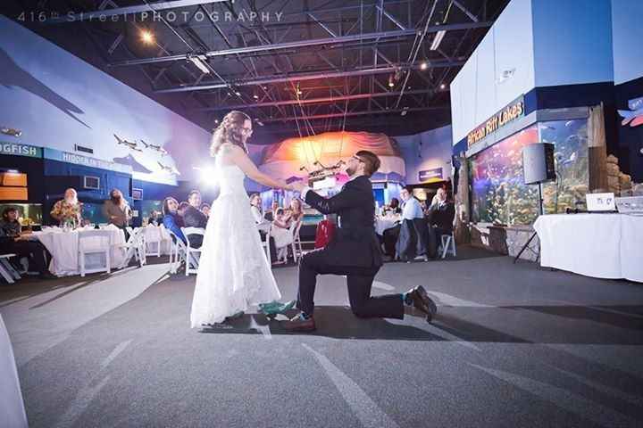 Mystic Aquarium BAM!!!! (pro & non pro!!!)