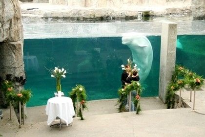 Ceremony Venue Pictures