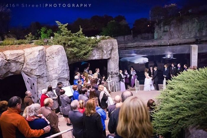 Mystic Aquarium BAM!!!! (pro & non pro!!!)