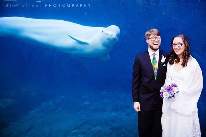 Mystic Aquarium BAM!!!! (pro & non pro!!!)