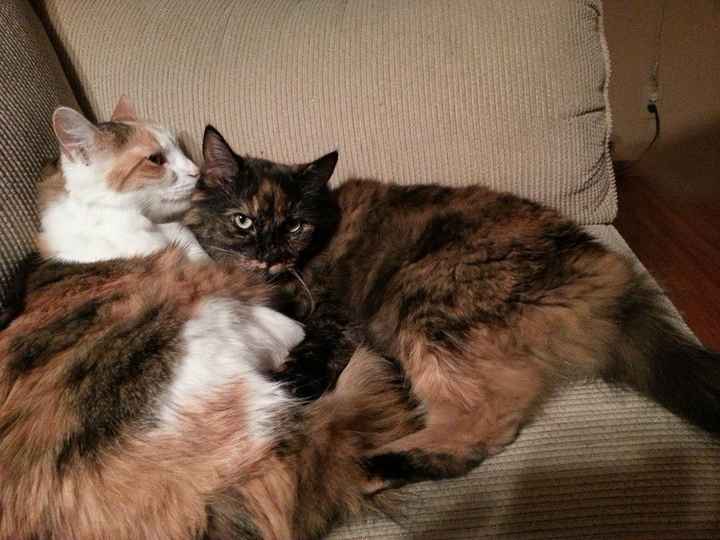 NWR.......FUR BABIES!!!!