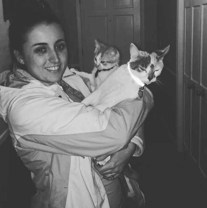 NWR: Name a weird/funny thing your pets do