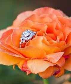 Halo e-ring wedding bands