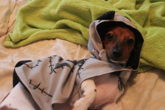 NWR: Fur Baby! :)