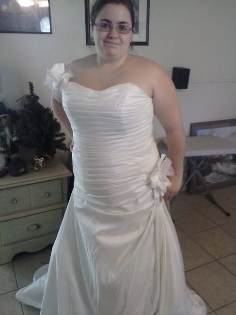 my wedding dress came in!! **pictures