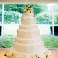 4 tier or more cake photos please! - 1