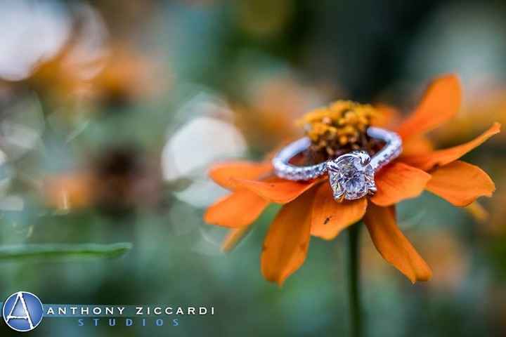 How much did your engagement ring cost?