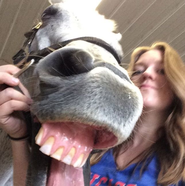 NWR: Silly pictures of your pets