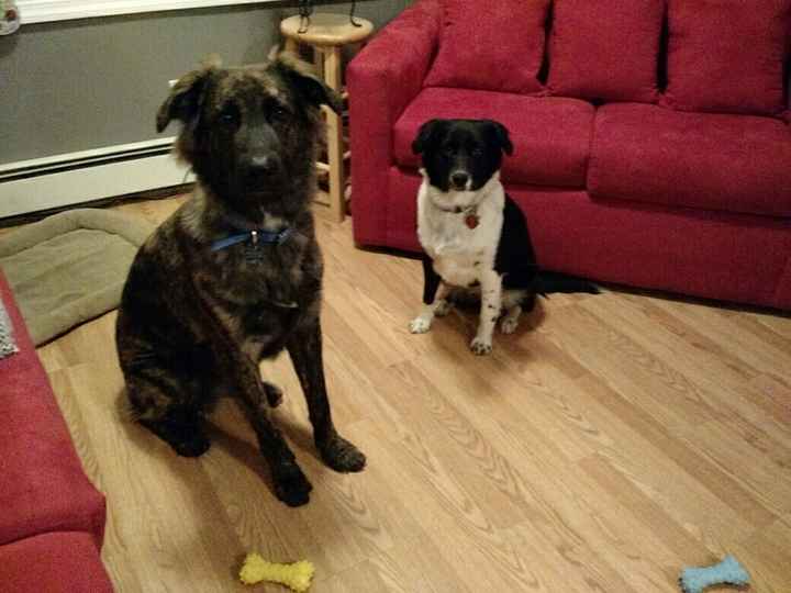 Introduction woops x2! Kelly & Dan