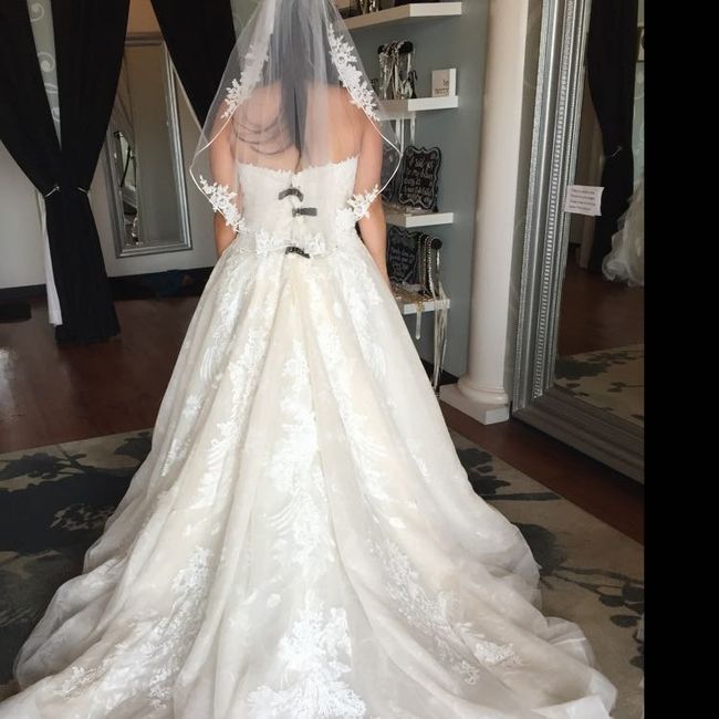 Veil or no veil - 1