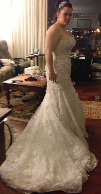 "Dream" Dress vs Actual Dress