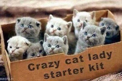 CRAZYCATLADY.......