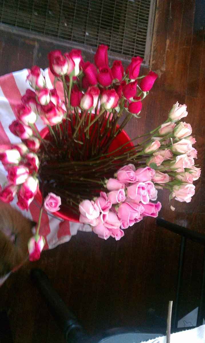 KWR - Got my trial flowers in! *UPDATE with the bouquets*