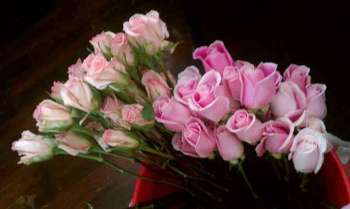 KWR - Got my trial flowers in! *UPDATE with the bouquets*