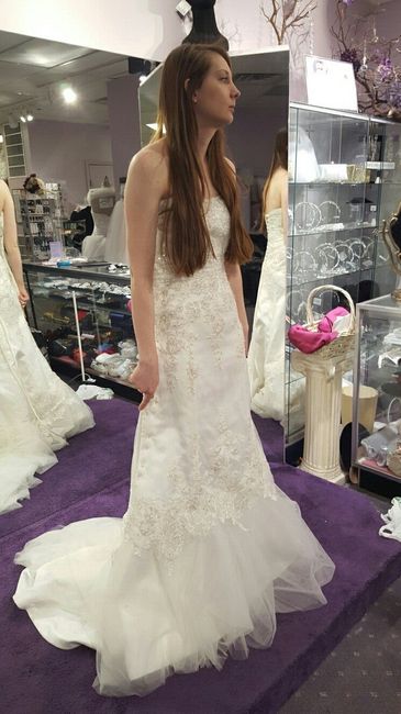 First Dress Fitting  (Pic Heavy)