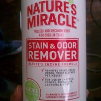 NWR Rant! If you're going to bring your dog to my home, HOUSE TRAIN IT!