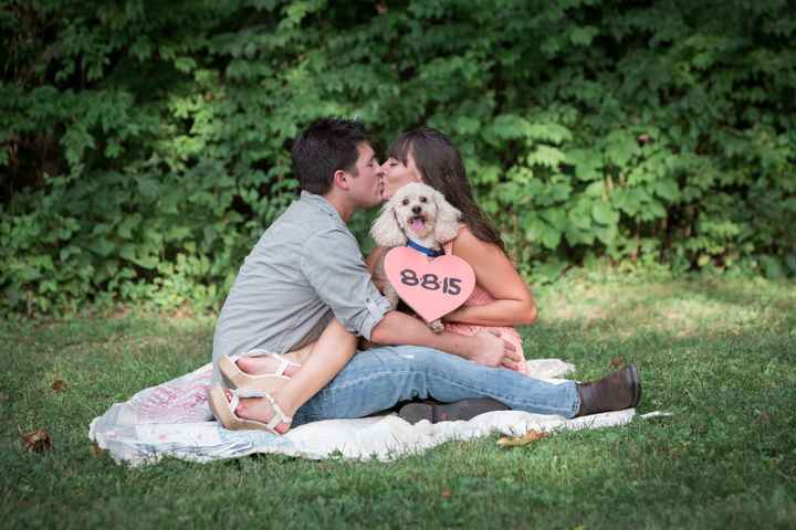 We havent had a pet post in a minute.