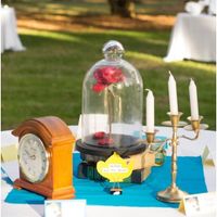 To Decorate or Not? Pics included!