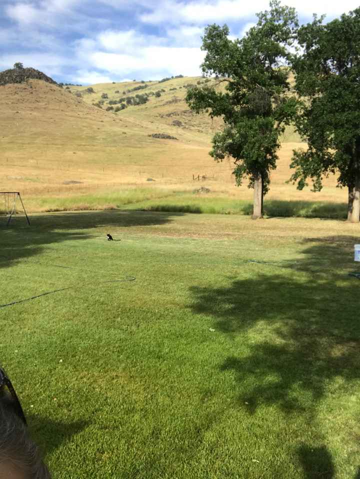 Hello Cali brides !! Where’s everyone’s wedding venue ? - 1